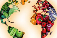 Global Food Security 2024