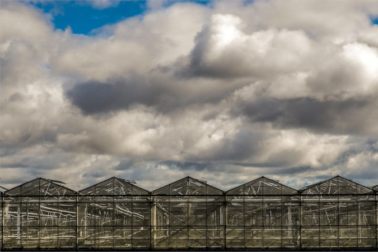 glass houses for plants